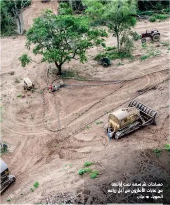  ??  ?? مساحات شاسعة تمت إزالتها من غابات الأمازون من أجل زراعة الصويا. À غيتي