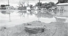  ??  ?? A Hatch chili lies on the ground after flooding in Hatch, N. M., in 2006. AP