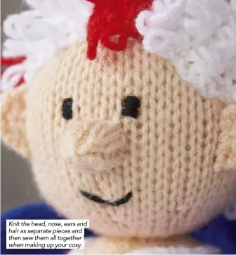  ??  ?? Knit the head, nose, ears and hair as separate pieces and then sew them all together when making up your cosy.