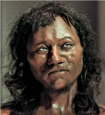  ??  ?? A facial reconstruc­tion has been based on the skull of Britain’s oldest skeleton, the 10,000-year-old Cheddar Man, following research at the Natural History Museum that suggests the first inhabitant­s of the British Isles may have had dark skin.