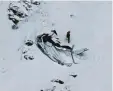  ?? Foto: Polizei Tirol ?? Das Wrack lag auf 2700 Metern Höhe in den Alpen.