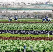  ?? BING GUAN/BLOOMBERG ?? Black farm ownership plunged in the past century amid a record of USDA discrimina­tion.