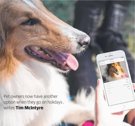  ??  ?? GO ON, LASSIE: Find yourself a walker on the new pet app!