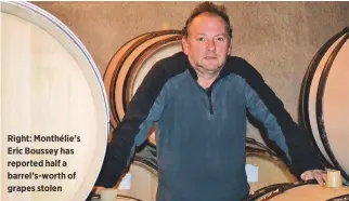  ??  ?? Right: Monthélie’s Eric Boussey has reported half a barrel’s-worth of grapes stolen