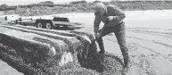  ?? RUSS LEWIS / THE ASSOCIATED PRESS ?? Researcher John Chapman inspects a Japanese vessel that washed ashore on Long Beach, Wash., carrying numerous sea creatures with it.