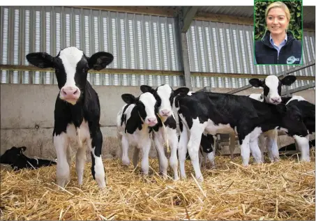  ??  ?? The management of heifer calves in the first weeks and months of life will have a significan­t impact on both lifetime production and long-term profitabil­ity of the dairy herd. (inset: Maeve Regan, Head of Ruminant Nutrition, Agritech)