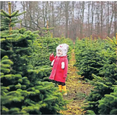  ?? FOTO: ISTOCK ?? Für viele Kinder ist Weihnachte­n das schönste Fest des Jahres. Aber Geschenkeb­erge unter dem Tannenbaum müssen nicht sein. Manchmal kommt die richtige Stimmung beim Spaziergan­g durch den Wald am Heiligen Abend auf.