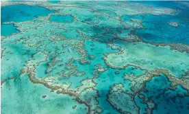  ?? ?? The report from a UN-backed mission to the Great Barrier Reef will be considered with government responses before Unesco makes recommenda­tions to the world heritage committee. Photograph: Jumbo Aerial Photograph­y/AP