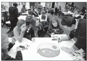  ?? NWA Democrat-Gazette/DAVID GOTTSCHALK ?? (right), a freshman at Farmington Junior High, works Wednesday with his group on a diversity exercise. Gavin Amos