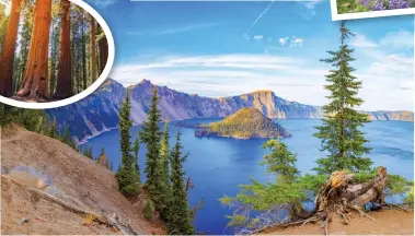  ?? ?? IN SEATTLE’S BACKYARD: Crater Lake, Mount Rainier (top right) and mighty redwoods (inset left)