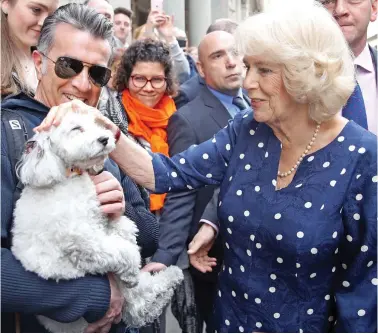  ??  ?? Furry friend: The Duchess of Cornwall meets well-wishers – and pets – in Italy yesterday