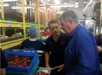  ?? Photo: Contribute­d ?? FRESH: Owner of Eastern Colour at Applethorp­e Nathan Boronio (left) talks shop with Minister for Agricultur­al Industry Developmen­t and Fisheries Mark Furner.