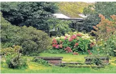  ?? FOTO: L. STRÜCKEN ?? Ein Tarum von einem Blütenmeer und viel sattes Grün: der Landschaft­spark Heilmannsh­of in Traar.