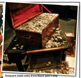  ??  ?? Treasure: Gold coins from Black Sam’s ship