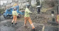  ??  ?? Campaigner­s claim trees are being felled in Sheffield because it is the most profitable option.