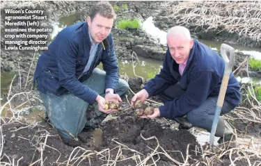  ??  ?? Wilson’s Country agronomist Stuart Meredith (left) examines the potato crop with company managing director Lewis Cunningham