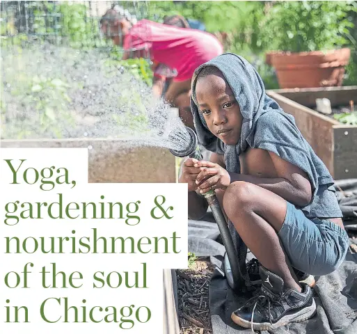  ?? ERIN HOOLEY/CHICAGO TRIBUNE ?? Rayzell Buick, 6, helps water plants at the Yoga Gardens space in the Lawndale neighbourh­ood of Chicago, Ill.