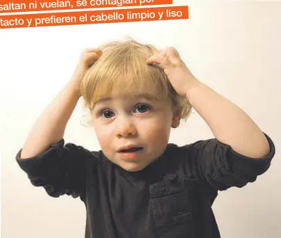  ?? J. BALMES
OTC (pictograma) ?? Comunicar la presencia de piojos a la escuela es la mejor forma de prevenir nuevos contagios