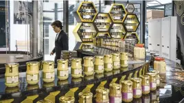  ?? ?? TRUE DIJON. A man walks past a mustard shop on the opening day of the internatio­nal Gastronomy and Wine centre.