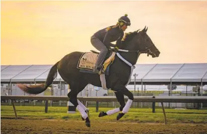  ?? JERRY JACKSON/BALTIMORE SUN ?? Preakness entrant Win Win Win works out on the Pimlico track at sunrise Friday in preparatio­n for the Preakness Stakes.