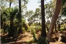  ?? Photograph: Lynsey Weatherspo­on/The Guardian ?? St Helena Island, South Carolina.