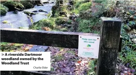  ?? Charlie Elder ?? > A riverside Dartmoor woodland owned by the Woodland Trust