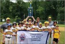  ?? RICH FISHER — FOR THE TRENTONIAN ?? Bordentown players and coaches celebrate after defeating Sunnybrae to win last year’s District 12Little League championsh­ip.