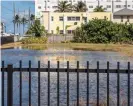  ??  ?? A king tide in Hollywood, Florida. Photograph: Anastasia Samoylova