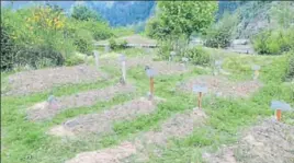  ?? WASEEM ANDRABI/HT ?? The graveyard in Gantmulla village, Baramulla, where 43 graves were dug for ‘foreign militants’, killed in encounters with Jammu and Kashmir Police.