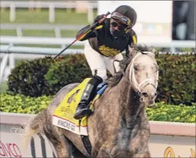  ?? Marta Lavandier / Associated Press ?? Joel Rosario celebrates after Knicks Go won the Pegasus World Cup Invitation­al on Saturday at Gulfstream Park in Hallandale Beach, Fla.