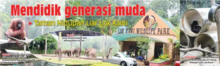  ??  ?? ORANG Utan yang berada di taman ini semuanya diselamatk­an daripada pemilik tidak berlesen. GAJAH Borneo yang diselamatk­an dan ditempatka­n di sini. BERUANG Madu antara spesies mamalia yang ada di Taman Hidupan Liar Lok Kawi.