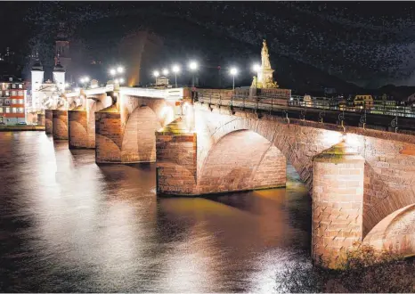  ?? FOTO: UWE ANSPACH/DPA ?? Die beleuchtet­e Alte Brücke in Heidelberg bei Nacht: Der Trend zu nächtliche­r Dauerbeleu­chtung ist für viele Tiere eine Qual.