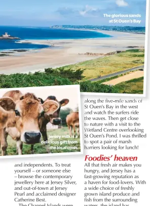  ??  ?? Jersey milk is a delicious gift fromthe local cows The glorious sandsat St Ouen’s Bay