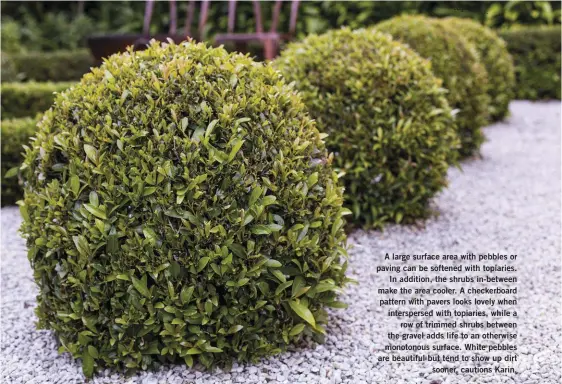  ?? ?? A large surface area with pebbles or paving can be softened with topiaries. In addition, the shrubs in-between make the area cooler. A checkerboa­rd pattern with pavers looks lovely when interspers­ed with topiaries, while a row of trimmed shrubs between the gravel adds life to an otherwise monotonous surface. White pebbles are beautiful but tend to show up dirt sooner, cautions Karin.