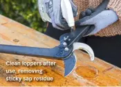  ?? ?? Clean loppers after use, removing sticky sap residue