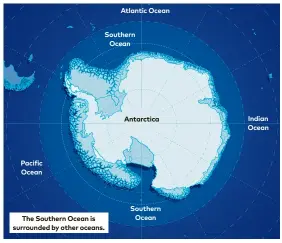  ??  ?? Pacific Ocean
The Southern Ocean is surrounded by other oceans.
Atlantic Ocean
Southern Ocean
Antarctica
Southern Ocean
Indian Ocean