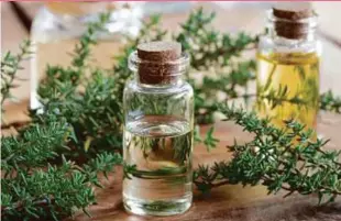  ?? PHOTO FROM WWW.ORGANICFAC­TS.NET ?? Thyme essential oil is also used in the formulatio­n.