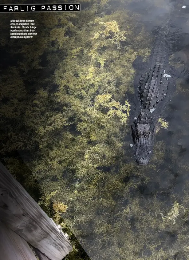  ??  ?? Mike Williams försvann efter en ankjakt vid Lake Seminole i Florida. Länge trodde man att han drunknat och att hans kvarlevor ätits upp av alligatore­r.