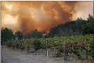  ??  ?? Flames rise beside a Napa vineyard.