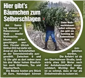  ?? ?? Einen Weihnachts­baum selbst schlagen, das geht am Samstag im Rabenstein­er Wald.