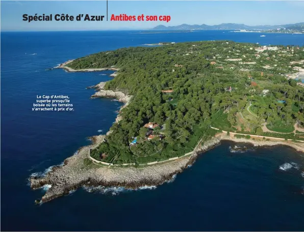  ??  ?? Le Cap d’Antibes, superbe presqu’île boisée où les terrains s’arrachent à prix d’or.