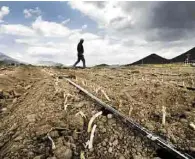  ??  ?? Talleres. La Sagarpa impulsa capacidade­s técnicas en la instalació­n y manejo de unidades de producción avícola y hortícola.