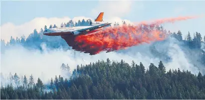  ?? TED S. WARREN THE ASSOCIATED PRESS FILE PHOTO ?? Nature can offer insight into topics such as keeping up with quickly changing markets and fostering resilience.