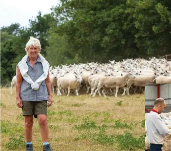  ?? ?? Far left: Company founder and managing director, Amanda Thompson, with some of the sheep that are providing their woolly jumpers for use in a further range of mattresses launching later this year