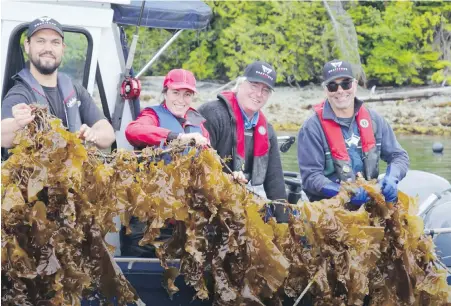  ?? COURTESY CASCADIA SEAWEED ?? From left, Ryan Cootes, Erin Bremner-Mitchell, Cascadia chair Bill Collins and company chief executive Mike Williamson show off their harvest of sugar kelp.