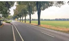  ?? RP-FOTO: HEINER DECKERS ?? Ein Teil der Linden (rechts) an der Hülser Straße soll für den Bau des Kreisverke­hrs an der Einmündung Heinrich-Horten-Straße weichen.