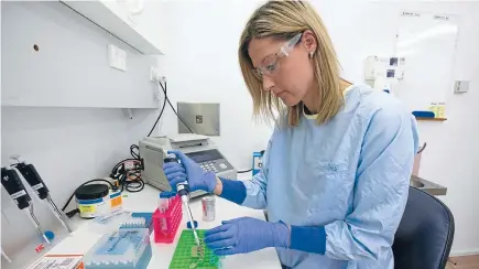  ?? Photo: KIRK HARGREAVES/FAIRFAX NZ ?? Vivienne Bickley, a molecular biologist, screens embryos for the correct number of chromosome­s before they are used in IVF treatment.