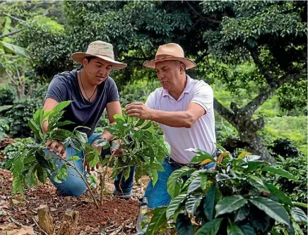  ??  ?? Nespresso’s AAA Sustainabl­e Quality programme is improving working conditions for its coffee farmers.