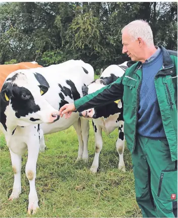  ?? FOTO: SINA AEHLING ?? Hartmut Neuenhoff will seine Kühe mit einem speziellen Zaun vor der Wölfin Gloria schützen.