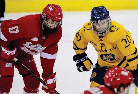  ?? Photo courtesy of Quinnipiac University Athletics ?? Quinnipiac sophomore winger Matt Fawcett, right, is just 5-foot-6 but the Lincoln native is showing he belongs on one of the nation’s top Division I teams. Fawcett secured the first goal and first assist in his college career in a 9-2 win over Sacred Heart last weekend.